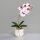 Orchidee im Keramiktopf, pink-white,4/24