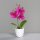 Orchidee im Keramiktopf, pink, 12/72