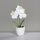 Orchidee im Keramiktopf, cream, 12/72