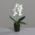 Orchidee im Erdballen, 24 cm,cream,16/96