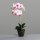 Orchidee im Erdballen, pink-white, 6/24