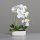 Orchidee in Keramikschale, 48 cm, 4/12