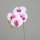 Orchidee, 66 cm, pink-white, 24/144