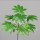 Aralien Pick mit 7 Blättern, 66 cm,12/48