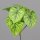 Anthurien Blatt Pick , light-green,12/60
