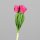 Tulpen Bund x3, 36 cm, pink, 16/160