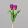 Tulpen Bund x3, 36 cm, fuchsia, 16/160