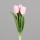 Tulpen Bund x3, 36 cm, rosee, 16/160