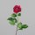 Rose, 68 cm, fuchsia, 24/144