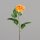Rose, 68 cm, orange, 24/144