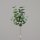Eukalyptus Zweig, 77 cm, 24/144