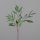 Eukalyptus Zweig, 80 cm, green, 18/72