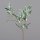 Eukalyptus Zweig,80 cm,white-green,18/72