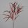 Eukalyptus Zweig, 80 cm, burgundy, 18/72
