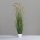 Gras mit Fruchstand, 100 cm, 4/16