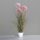 Gras mit Fruchstand, 60 cm, pink, 6/36