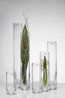 schmale Vase Ø 6 cm - SOLIFLEUR