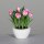 Tulpen Arrangement, 26 cm, rosee, 6/36
