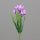 Crocus Pick, 30 cm, lavender, 48/288