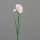 Iris, 60 cm, rosee, 24/192