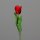 Tulpe, 40 cm, red, 36/360