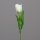 Tulpe, 40 cm, cream, 36/360