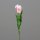 Tulpe, 40 cm, rosee, 36/360