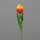 Tulpe, 40 cm, orange-yellow, 36/360