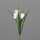 Frittilaria Pick, 29 cm, cream, 48/288