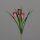 Frittilaria Pick, red-white, 48/288