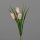 Frittilaria Pick, 29 cm, honey, 48/288