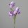 Iris Zweig mit 3 Blüten, violett, 12/72