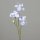 Iris Zweig mit 3 Blüten,light-blue,12/72