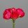 Päonien-Bouquet mit 5 Blüten, 24/192
