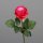 Rose, 48 cm, pink, 24/240