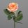 Rose, 48 cm, orange, 24/240