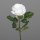 Rose, 48 cm, white, 24/240