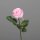 Rose, 48 cm, rosee, 24/240