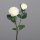 Rose, 57 cm, white, 18/144