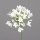 Amaranthus, 75 cm, cream, 18/108