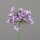 Amaranthus, 75 cm, lavender, 18/108