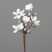Magnolienzweg mit 5 Blüten, cream, 12/96