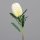 Protea, 65 cm, cream, 16/96