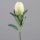 Protea, 65 cm, green-cream, 16/96