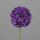 Allium, 87 cm, lilac, 8/48