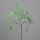 Gigant Eukalyptus Zweig, green, 6/18