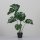 Split-Philo-Pflanze, 80 cm, green, 4/8