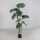 Split-Philo-Pflanze, 150 cm, green, 1/4