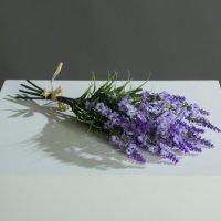 Lavendelbund x6, purple, 34 cm, Preis per Bund