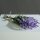 Lavendelbund x6, purple, 34 cm, Preis per Bund
